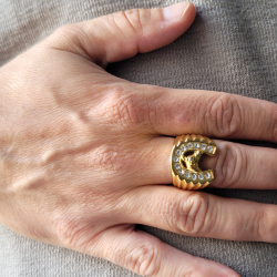 Anello da uomo moderno e largo per gli uomini in acciaio dorato con testa di cavallo e zirconio a forma di ferro 2
