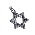 Collier Pendentif Étoile de David Symbole Juif en Acier Inoxydable et Chaine Figaro Incluse