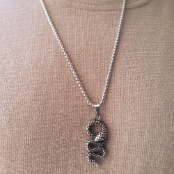 Collier Pendentif en Forme de Serpent Ondulé - Chaine Homme Acier Inoxydable Incluse