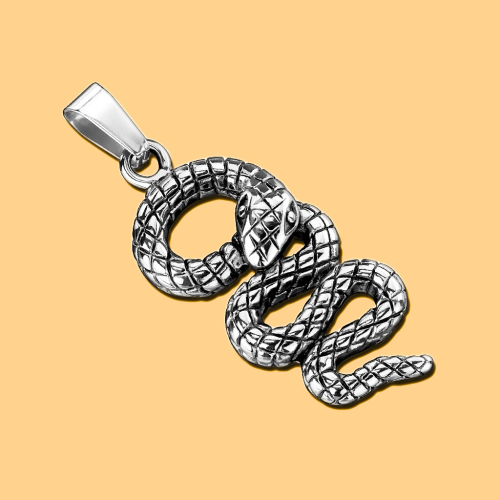 Pendentif en Forme de Serpent Ondulé et Chaine Homme Acier Inoxydable Incluse