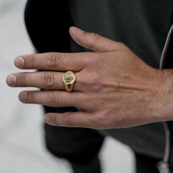 Gold Lion Head Ring - Ruggling Lion Horse for Men in Gold Stainless Steel