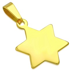 Colgante mujer hombre acero baño oro forma estrella para personalizar