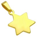 Colgante mujer hombre acero baño oro forma estrella para personalizar