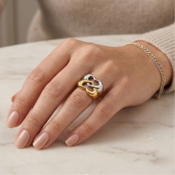 Anello di fidanzamento Acciaio inossidabile femminile - Cuori Duo interlevati a due colori 2