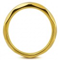 Profile view of the golden alliance showing the very bright and polished aspect of the irregular facets capturing light