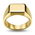 Detaillierte Ansicht des Ritters zeigt die Eleganz des goldenen Stahlrings und den Glanz des Furniers durch Ionisierung