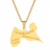 Men's Necklace Island of the Gold Reunion | Customizable steel pendant