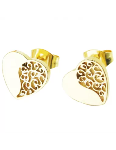 Pair earrings woman steel gold fine gilded spiral heart valentine