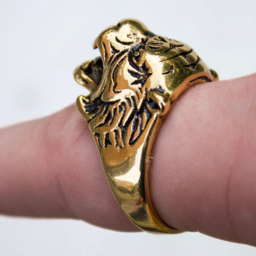 Ringstahlgold-Furnier-Tiger offener offener Kopf getragen von einem Mann