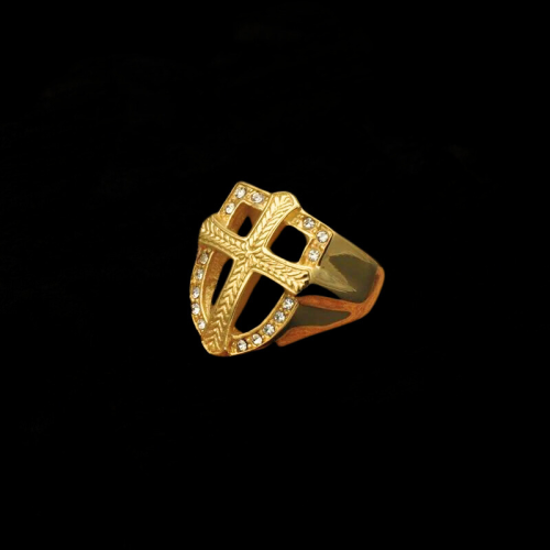 Herren edler Ritter mit Goldgold Gold Schild königlicher Kreuz schwarz Hintergrund