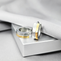 Pair of women's men's two-tone steel and gold band earrings presented