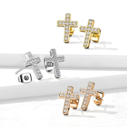Female Steel Latin Zircas Color Cross Women's Earrings Presented