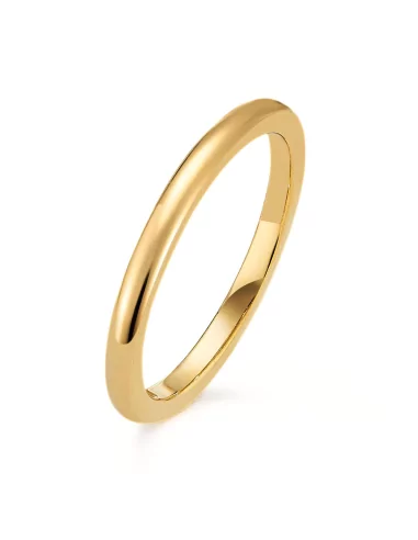 Anello di alleanza nuziale per uomo e donna, acciaio dorato, oro fino, 2 mm