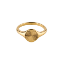 Sunray signet ring for women in modern fine gold-plated steel