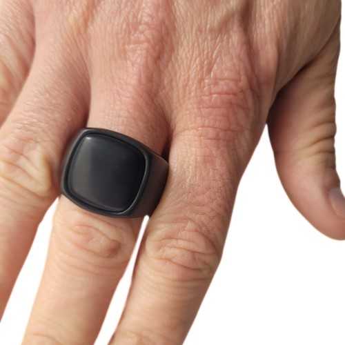 Men's black stainless steel horse cabochon onyx black