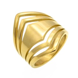 Anello femminile spartano acciaio placcato oro con oro moderno fine minimalista