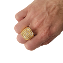 Golden knight pavement of zirconium oxides brought to finger by an elegant man.